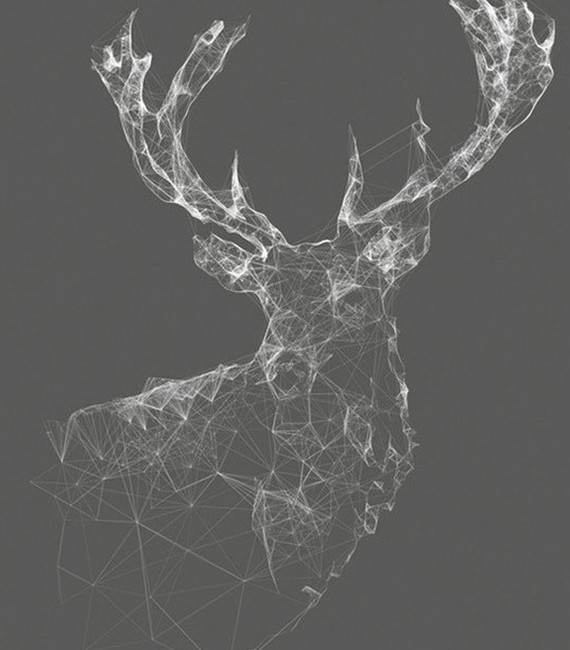 deer_kracht-patsers